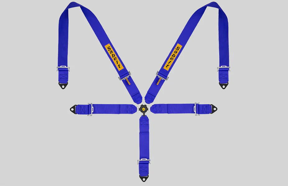 Sabelt 5 point harness